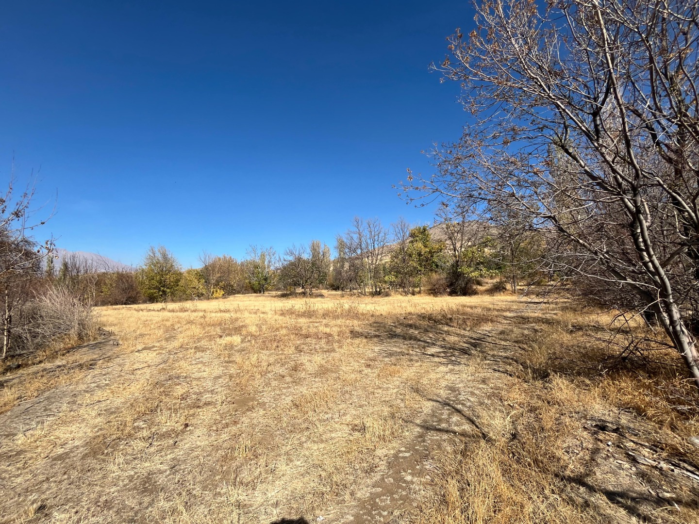 KAYSERİ DEVELİ ZİLE MAHALLESİ MAŞATALTI MEVKİİNDE SATILIK BAHÇE